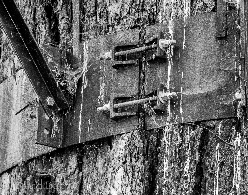 20160806-unsung-heroes-03290