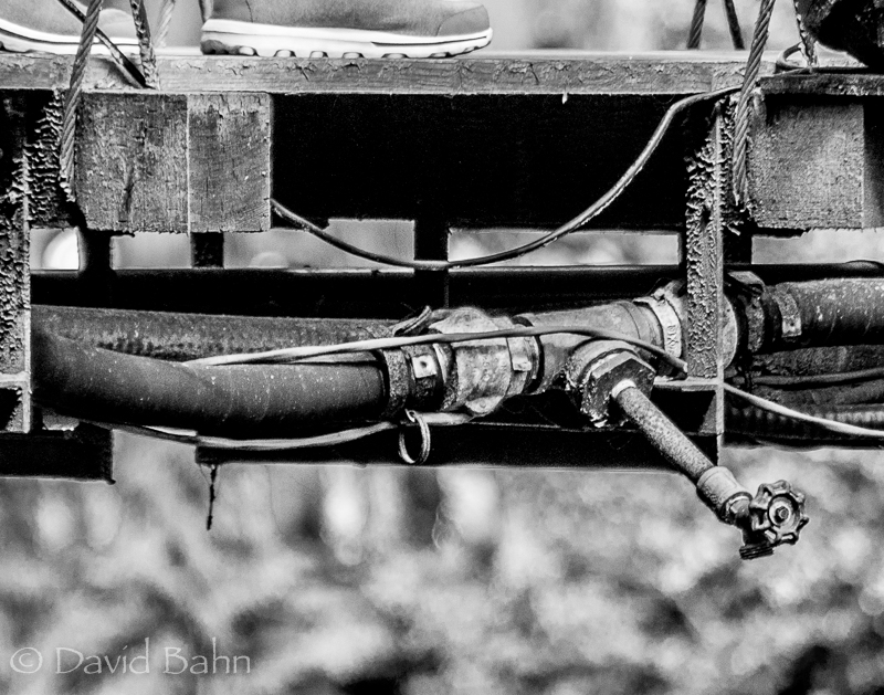 20160806-unsung-heroes-03332