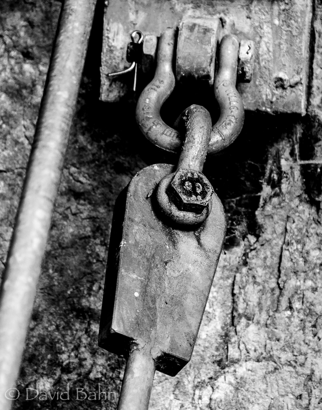 20160806-unsung-heroes-03368