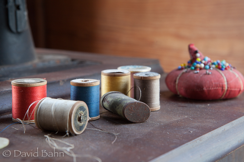 20160924-kleb-woods-0001