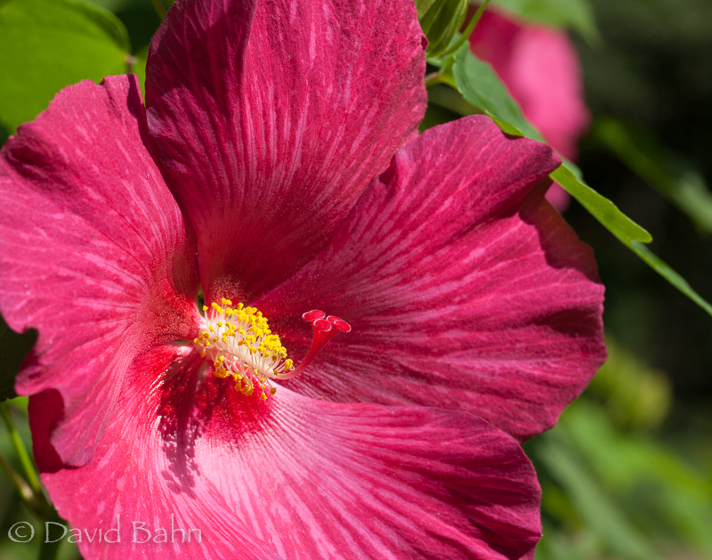 20160924-kleb-woods-9967