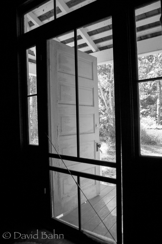 20160924-kleb-woods-9992