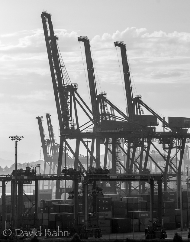 20160806-unsung-heroes-03246