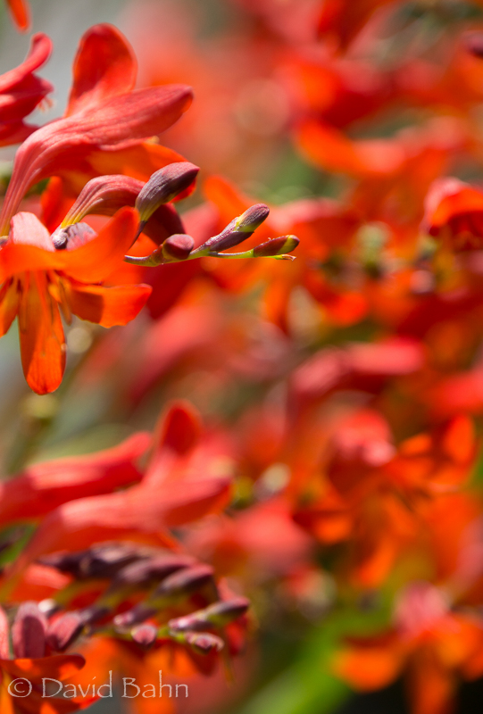 20160808-untitled03512