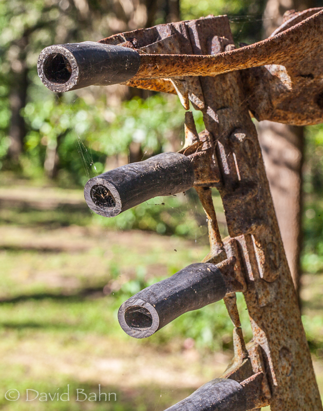 20160924-kleb-woods-9733-2