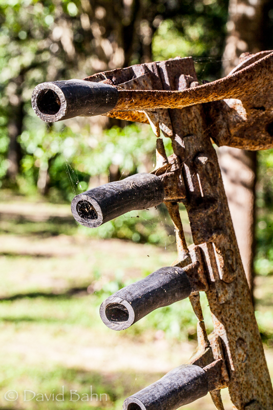 20160924-kleb-woods-9733