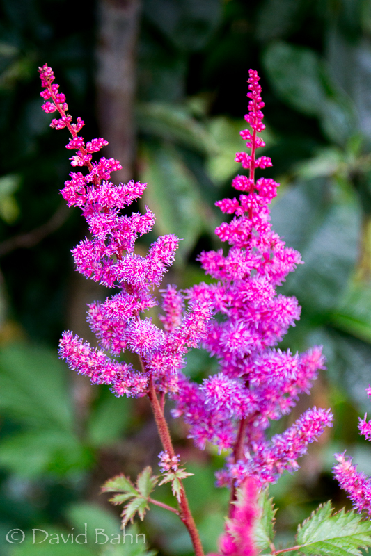 20160804-alaska-cruise-juneau-ketchekan02955