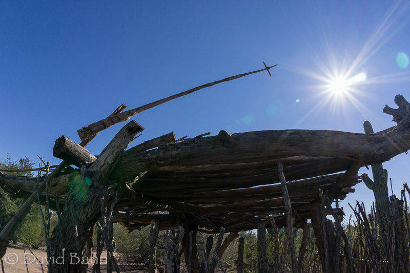 dlb-phoenix-desert-botanical-garden-04856