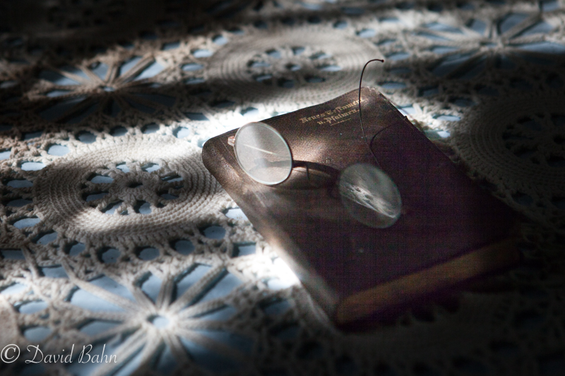 20160924-Kleb-Woods-9988