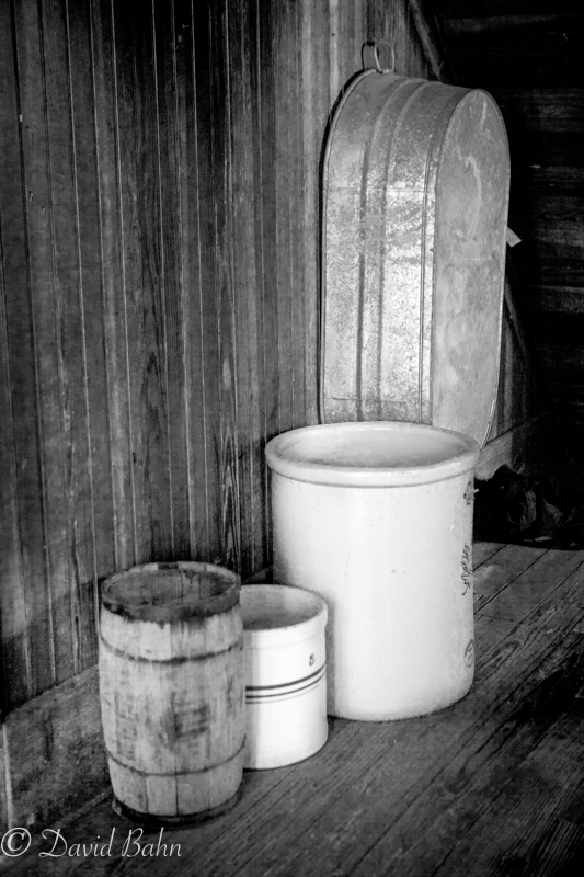 20160924-Kleb-Woods-9994