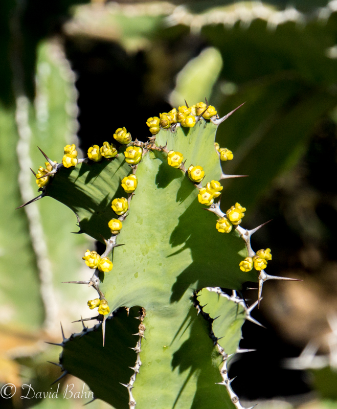 20170126-20170126-dlb-04874