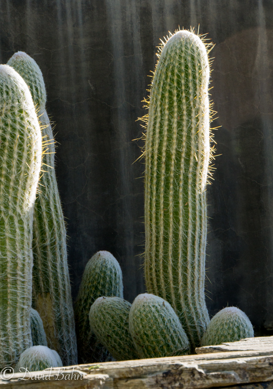 20170126-dlb-04796-2