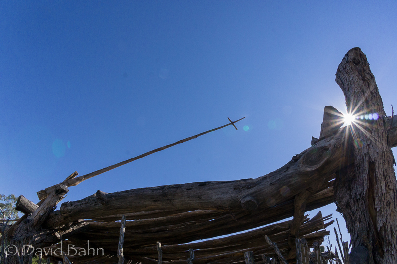 DLB-Phoenix-Desert-Botanical-Garden-04860