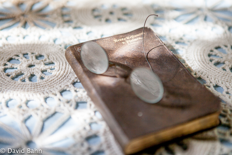 20160924-Kleb-Woods-9976