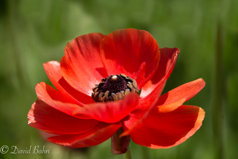 20170331-DSC06095-Edit