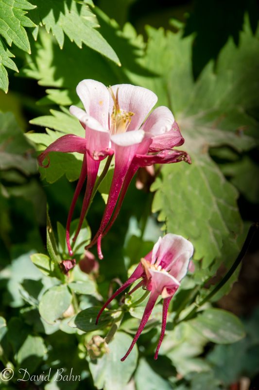 20170331-DSC06158-Edit