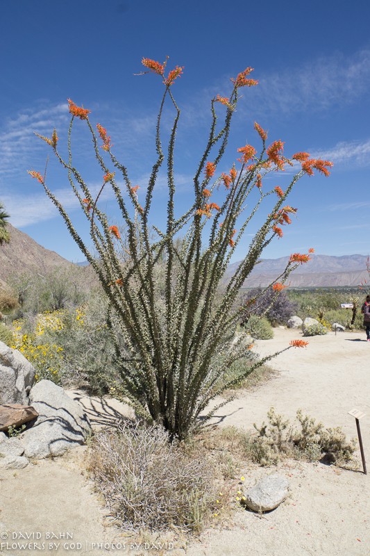 20170328-DSC05708-Edit