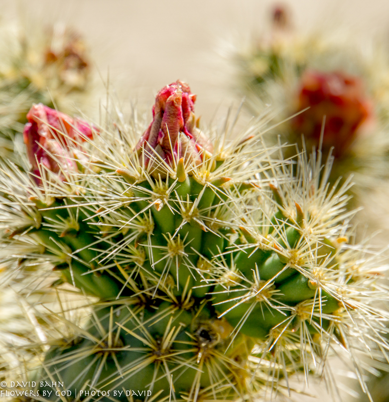 20170328-DSC05734-Edit