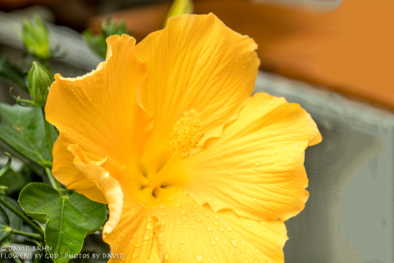 20170816-DSC06927-Edit