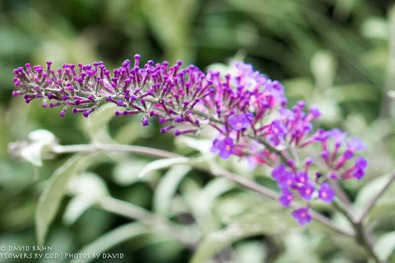 A walk in Martinshöhe, Germany