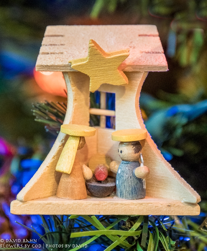 20171126-DSC07549-Edit