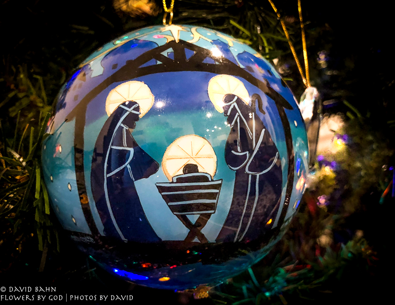 20171204-2017-12-04 20.52.19