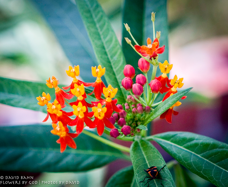 20091002-_MG_2555-Edit-Edit