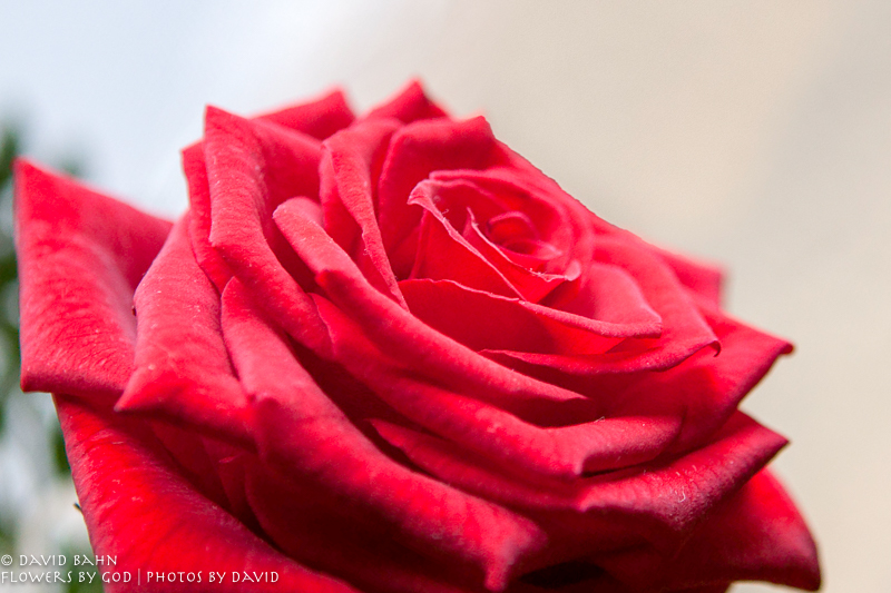 2010-09-10-Wartburg-0895-Edit