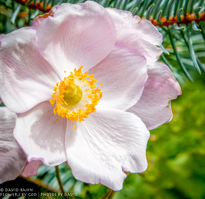 20100914-2010-09-14-oberammergau-1321-edit