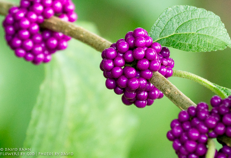 20160905-untitled03910