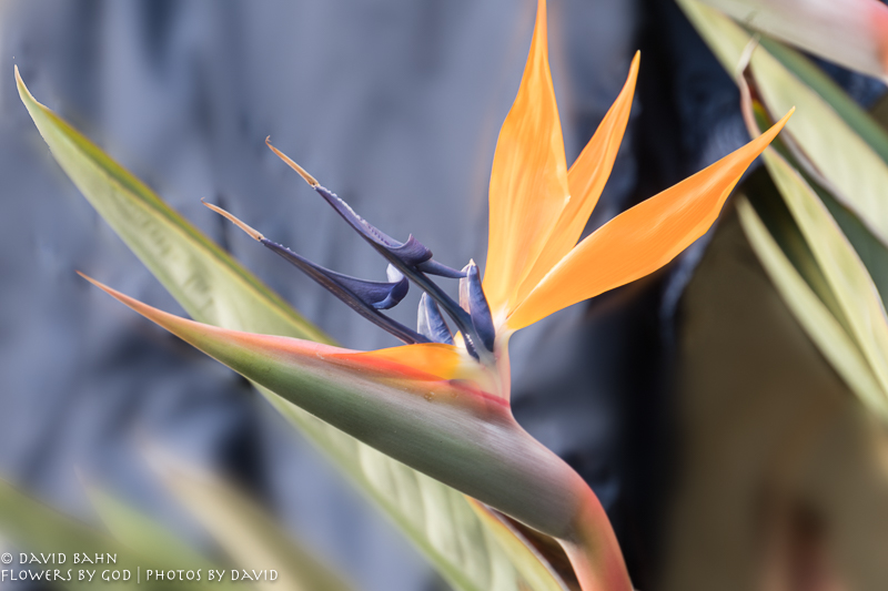 20180101-DSC07770-Edit