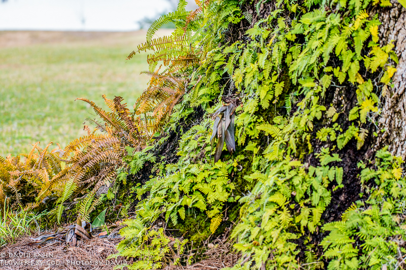 20180123-DSC07920-Edit