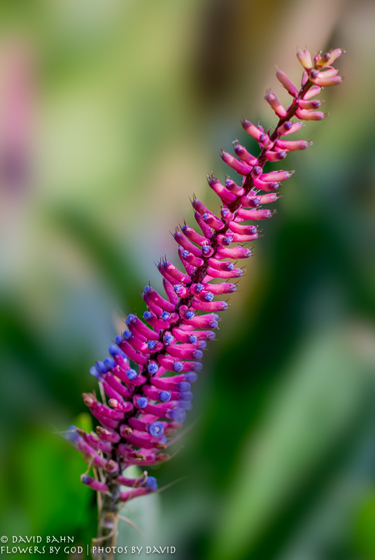 20180123-DSC07961-Edit