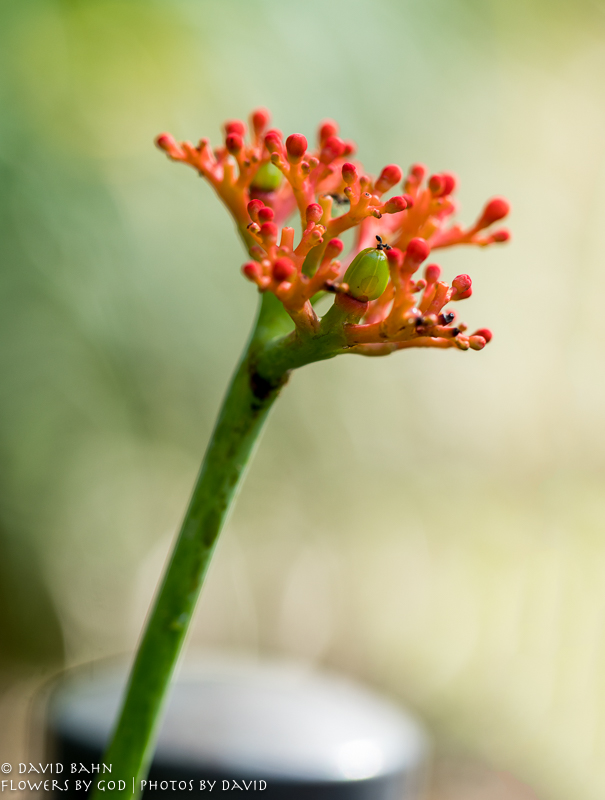 20180123-DSC07990-Edit