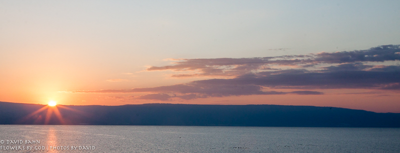 01-20-2012-Israel-Tour-7833