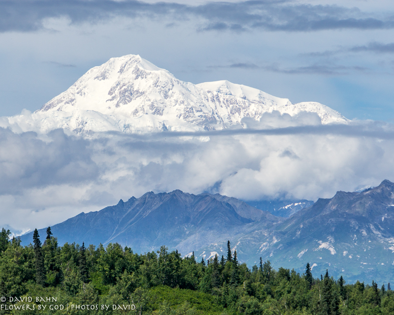 20160727-Denali-02158