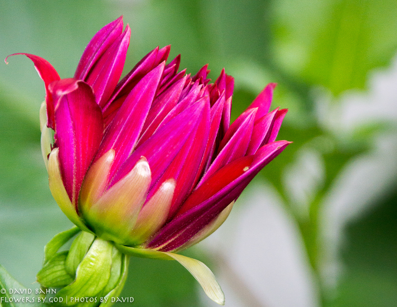 20160804-2017-Calendar-02961