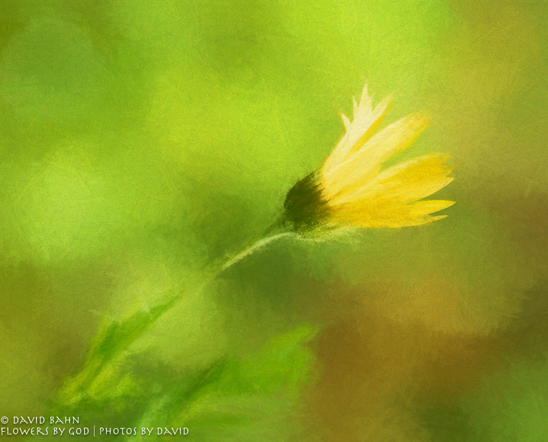 20180714-DSC08590-Edit-2