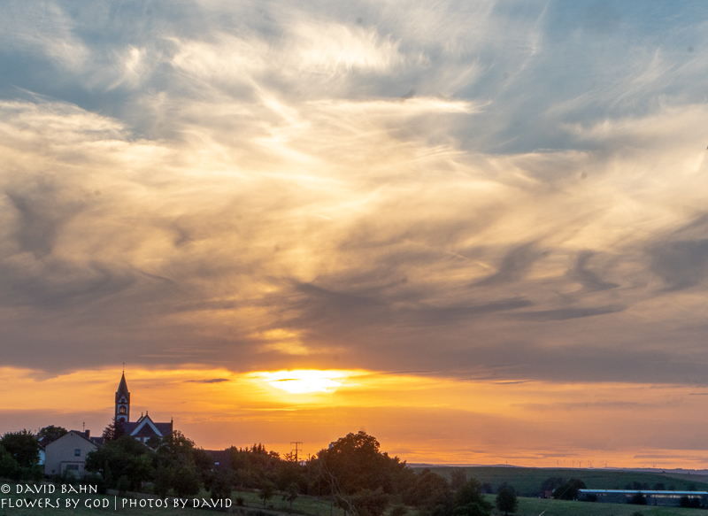 20180731-DSC09113-Edit