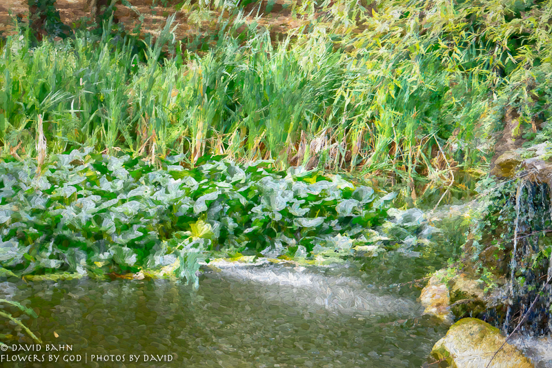 20180801-DSC09224-Edit-3