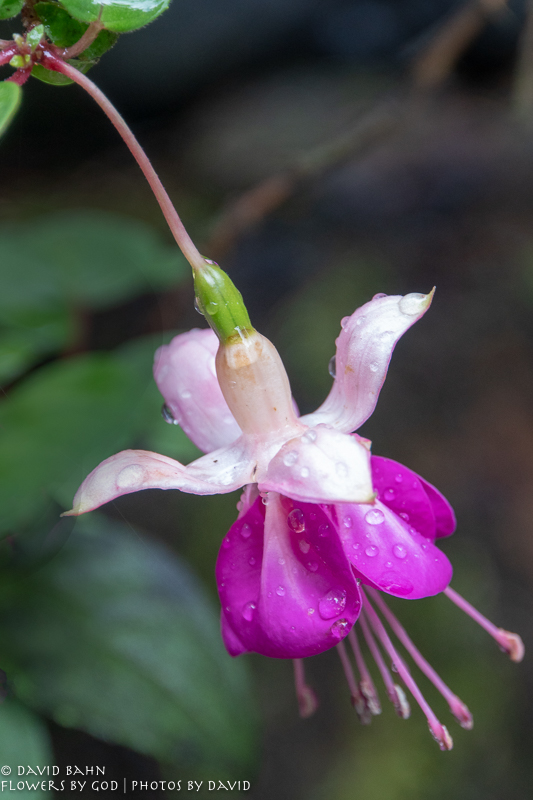 20180906-DSC09931-Edit