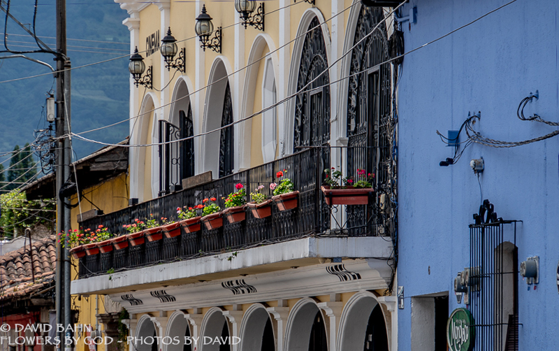 20180906-DSC09997 copy