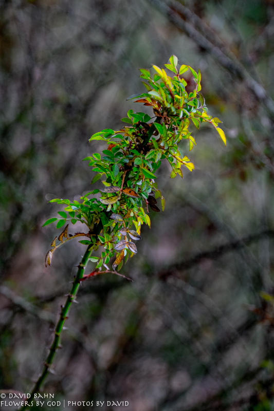 20181207-DSC00342-Edit