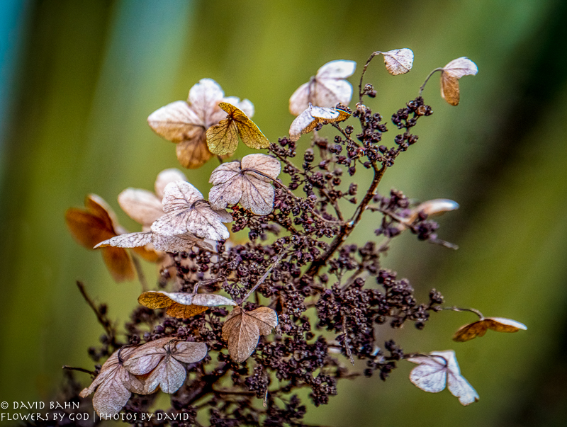 20181207-DSC00332-Edit