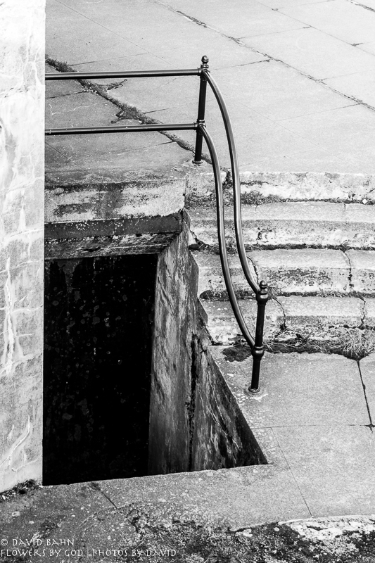 20190101-dsc00533-b&amp;w