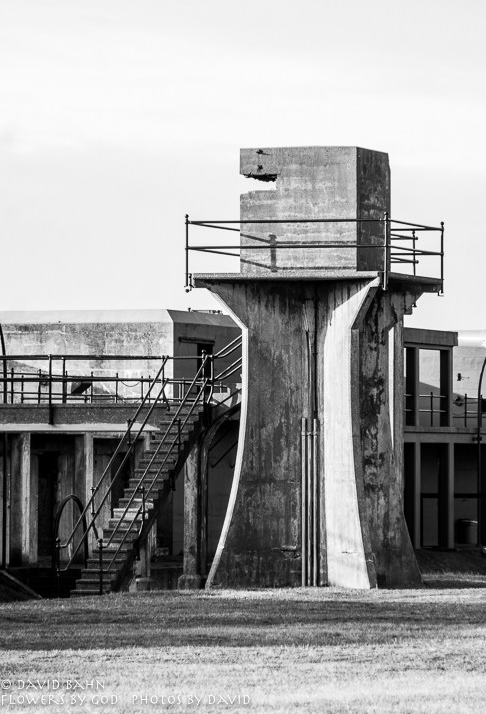 20190101-dsc00542-b&amp;w