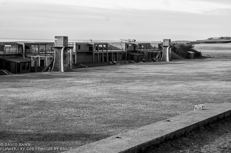 20190101-DSC00538-B&amp;W