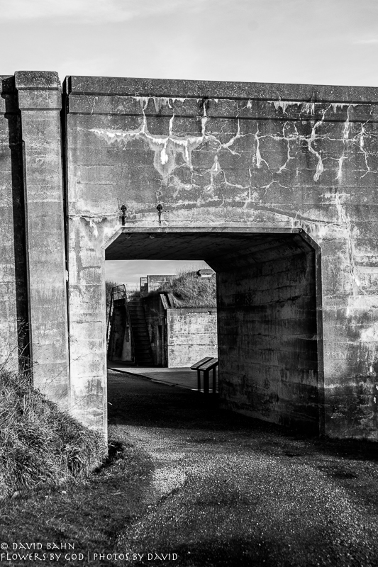 20190101-DSC00546-B&amp;W