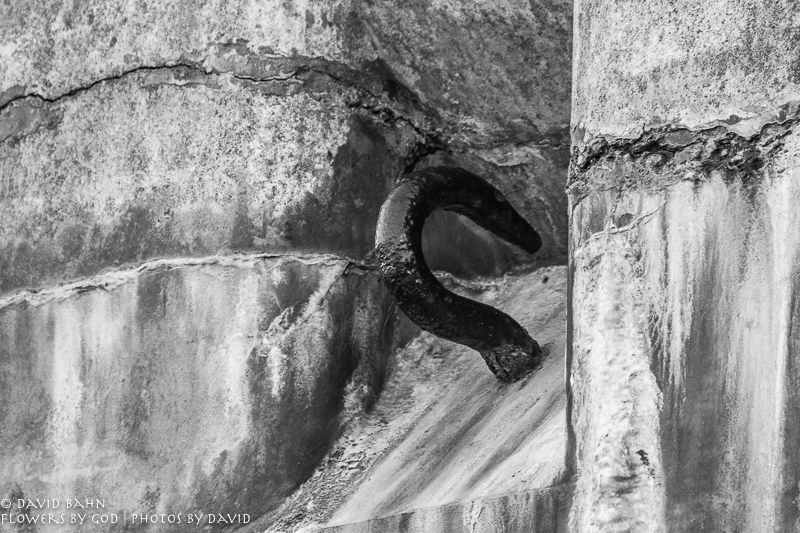 20190101-DSC00551-B&amp;W