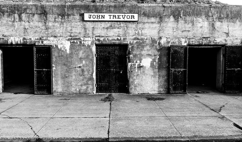 20190101-DSC00602-B&amp;W